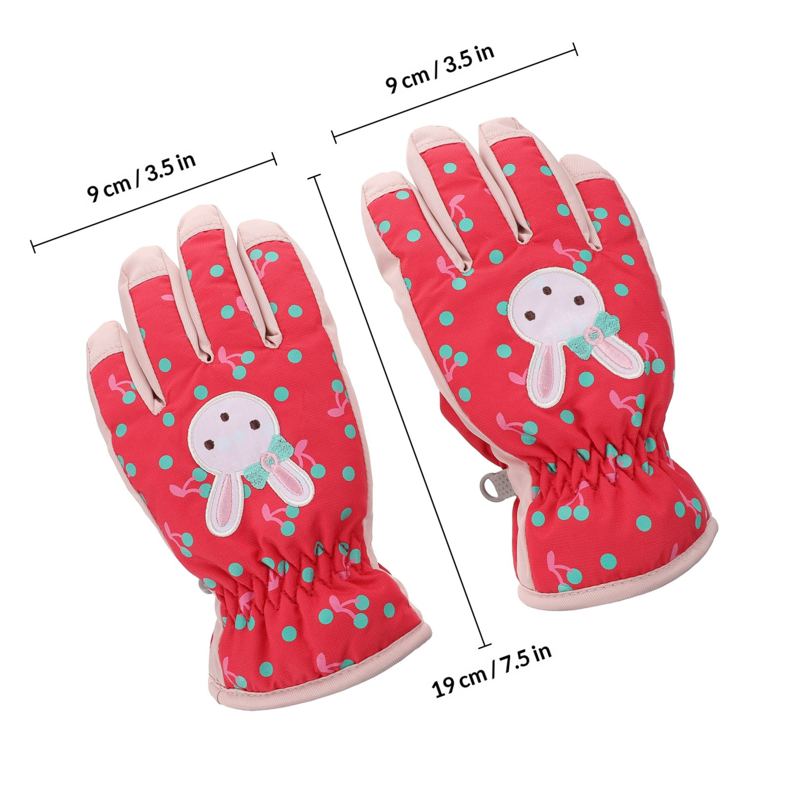 1 paire de gants de ski pour e - Snow Glove Insulated avis et prix